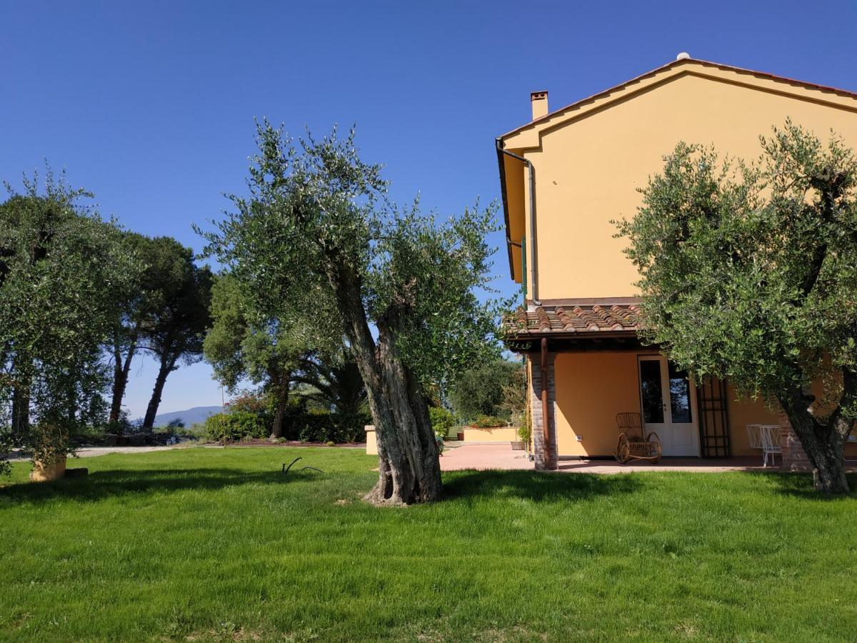 B&B La Casetta Монтекарло Экстерьер фото