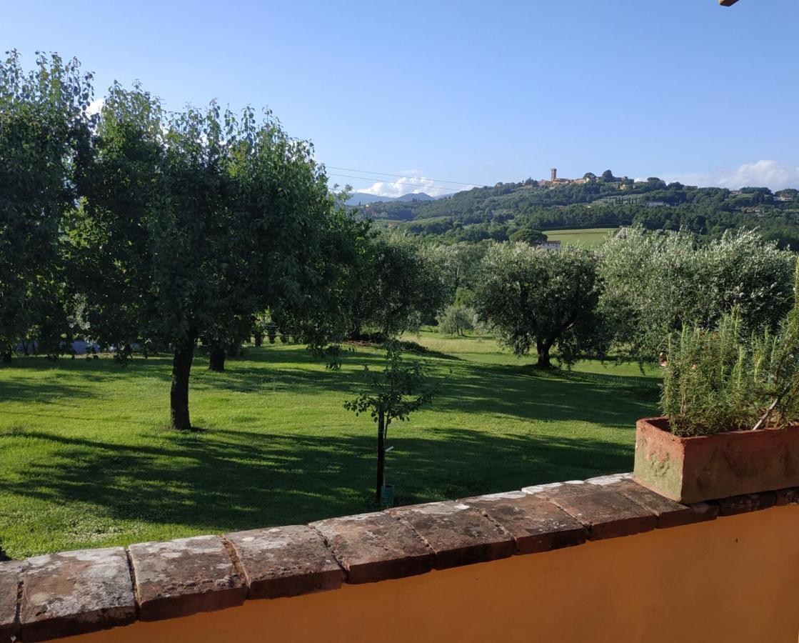B&B La Casetta Монтекарло Экстерьер фото