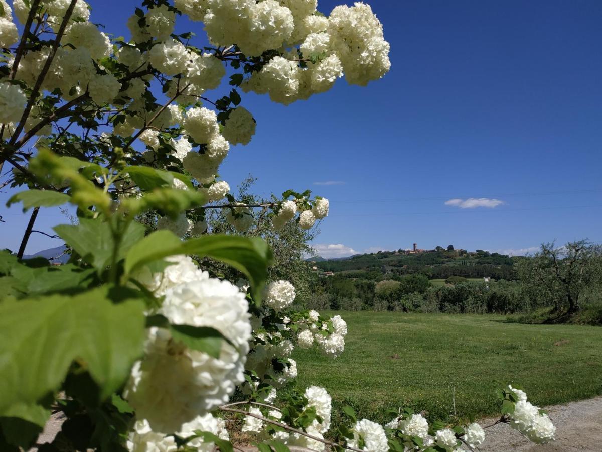 B&B La Casetta Монтекарло Экстерьер фото