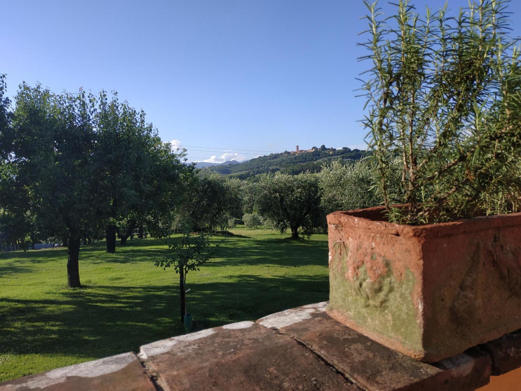 B&B La Casetta Монтекарло Номер фото